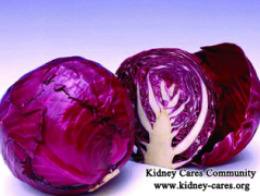 Can Diabetic Nephropathy Patients Eat Red Cabbage