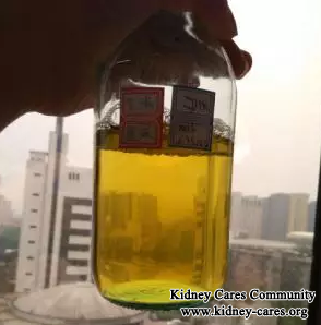 Kidney Failure Is Alleviated By Chinese Medicine