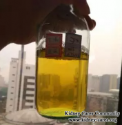 Kidney Failure Is Alleviated By Chinese Medicine