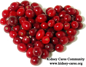What Kinds Of Herbs Can Improve Kidney Function