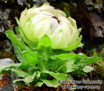 Is There A Chinese Herbal Treatment For Complex Kidney Cysts