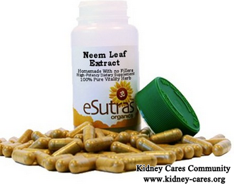 Can Neem Leaf Help Treat High Creatinine Level