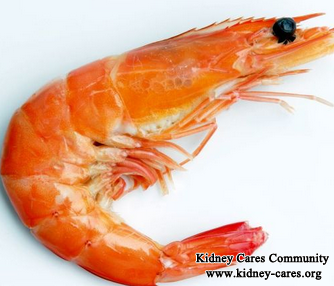 Is Shrimp Good For IgA Nephropathy Patients