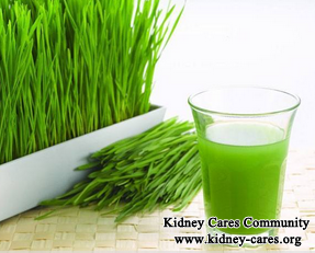 Is Wheat Grass Suitable For Patients With Kidney Failure