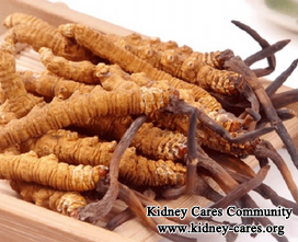 Does Cordyceps Help Stage 3 CKD Patients