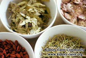 What Is The Treatment For Kidney Shrinkage Caused By Hypertension