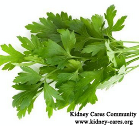 Is Parsley OK For Stage 3 Kidney Disease Patients