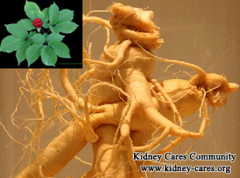 Is Ginseng Herb Safe For Kidney Disease Stage 4