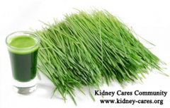 Can CKD Third Stage Patient Eat Wheat Grass