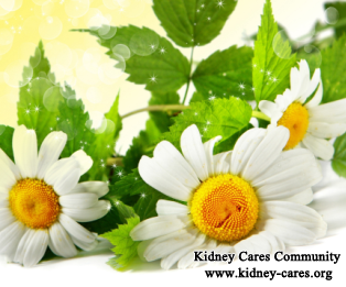 What Type Of Tea Can I Drink To Lower Down High Creatinine Level