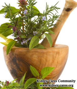 Are There Any Medicines To Recover Kidney Damage Other Than Dialysis Or Transplantation