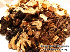 What Treatment Should Patients With Systemic Lupus Erythematosus Nephropathy Take