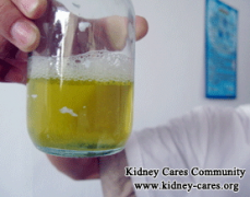 Can Proteinuria Be Reversed Totally In Stages 1 and 2 Kidney Disease