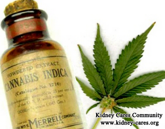 Does Cannabis Oil Help Kidney Failure