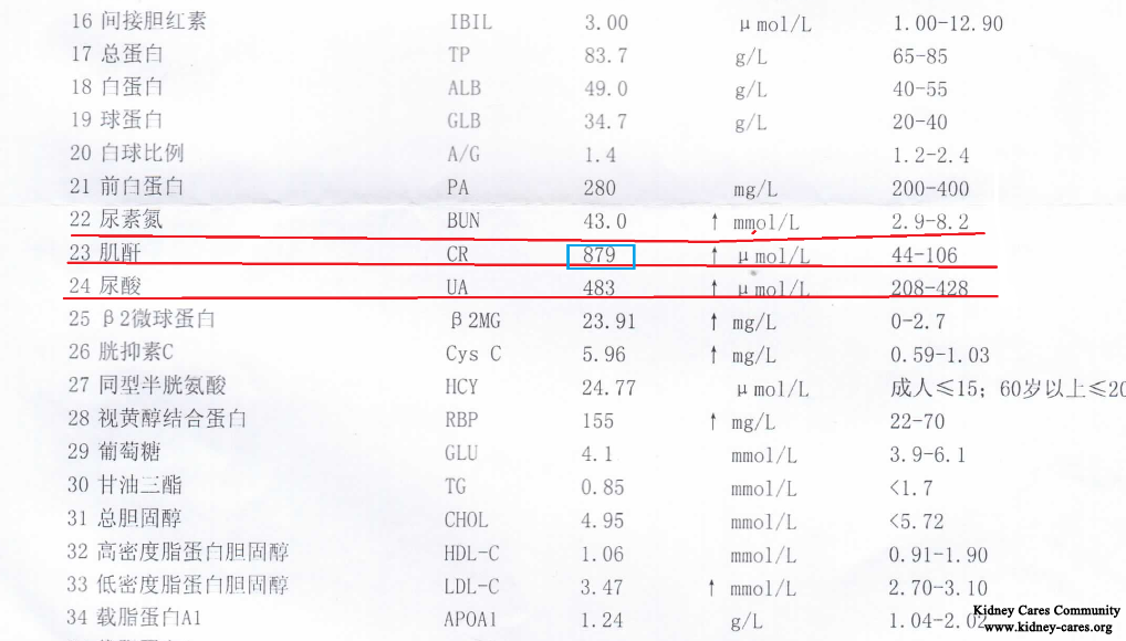 High Creatinine Level Management In Shijiazhuang Kidney Disease Hospital