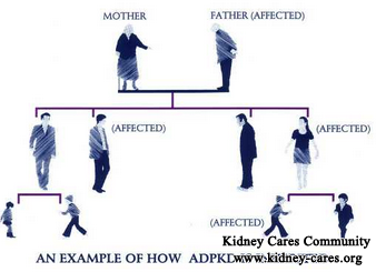 What Is The Chance to Inherit PKD