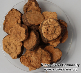 Is It Ok For Kidney Failure Patients To Eat He Shou Wu
