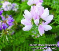 Can I Get Micro-Chinese Medicine Osmotherapy For High Creatinine Level In Bangalore