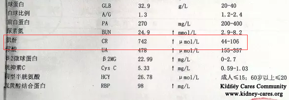 Dialysis Is Successfully Avoided After Four Months Treatment