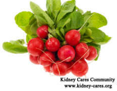 Can Radish Regenerate Kidney