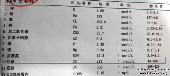 Chinese Medicines Treat Mesangial Proliferative Glomerulonephritis, Thrombus and creatinine Level 213umol/L