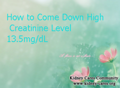 What Can We Do To Make Creatinine Level 13.5 Come Down