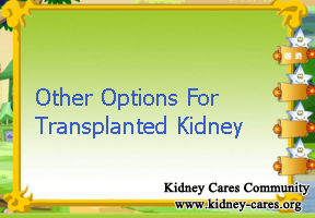 What Options Do I Have If My Transplanted Kidney Fail Again