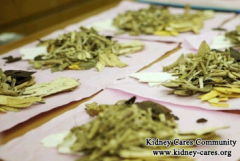 Hemoglobin 10.2,Creatinine 580,Urea 32 In CKD, Do I Need A Dialysis