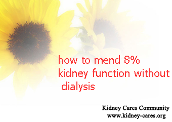 How To Mend 8% Kidney Function without Dialysis