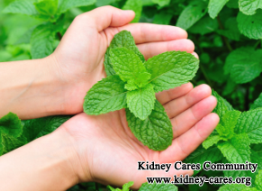 What Is The Systematic Chinese Medicine Treatment For Kidney Failure