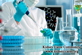 What Are Important Laboratory Values To Monitor In CKD Management, Besides GFR