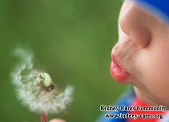 Which Organs Are Affected By Polycystic Kidney Disease (PKD)