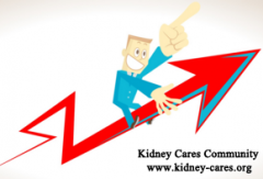 Remedies To Help Kidney Function At A Higher Level