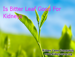 Is Drinking Fresh Bitter Leaf Harmful To The Kidney