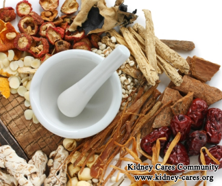 Purpura Nephritis With Creatinine 5.3: What Should Be the Treatment