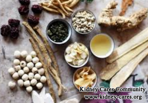 Herbal Treatment for Low Kidney Function