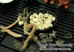 How to Make Kidney Damage Repaired for CKD Patients