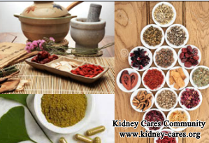 How to Improve Your Kidney Function for IgA Nephropathy 