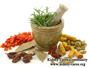 Herbal Treatment for Kidney Damage Due to Hypertension