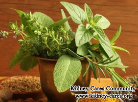 Herbal Treatment for Kidney Failure In China