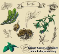 How to Reduce High Creatinine for CKD Patients