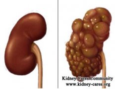 What Can Be Done with 30cm Kidneys for PKD Patients