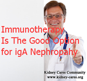 Can IgA Nephropathy Be Cured with Immunotherapy 