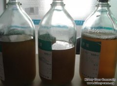 Obvious Effects Of Plasma Exchange Therapy On Kidney Failure