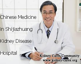 The Best Treatment for High Creatinine in IgA Nephropathy Patients