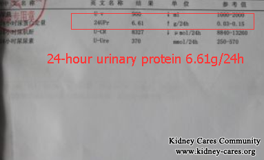 Western Medicines and Chinese Medicines To Avoid Renal Failure From IgA Nephropathy