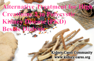 Alternative Treatment for High Creatinine 2 in Polycystic Kidney Disease (PKD) Beside Dialysis
