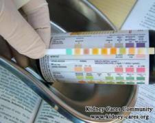How to Get Rid of Too Much Protein in Urine for CKD Patients