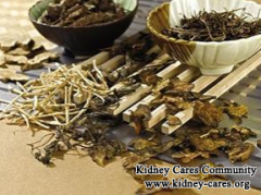 How to Live A Better Life for CKD Patients