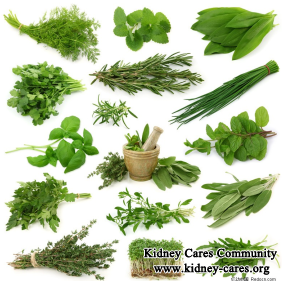 How to Treat Fatigue for Renal Failure Patients Well